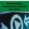 MarketReplay Professional v1.0.0.25 (Mar 2016)