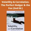 Riccardo Rebonato – Volatility & Correlation. The Perfect Hedger & the Fox (2nd Ed.)