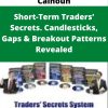 Steve Nison & Ken Calhoun – Short-Term Traders? Secrets. Candlesticks, Gaps & Breakout Patterns Revealed