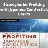 Steve Nison – Strategies for Profiting with Japanese Candlestick Charts