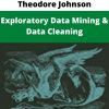 Tamraparni Dasu, Theodore Johnson – Exploratory Data Mining & Data Cleaning