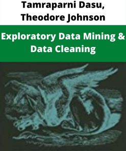 Tamraparni Dasu, Theodore Johnson – Exploratory Data Mining & Data Cleaning