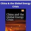 Tatsu Kambara – China & the Global Energy Crisis