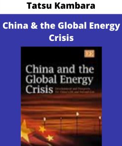 Tatsu Kambara – China & the Global Energy Crisis