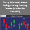 Terry Ashman?s Gann Swings Swing Trading Course (HotTrader Tutorial) –