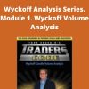 Todd Krueger – Wyckoff Analysis Series. Module 1. Wyckoff Volume Analysis
