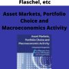 Toichiro Asadra, Peter Flaschel, etc – Asset Markets, Portfolio Choice and Macroeconomics Activity –