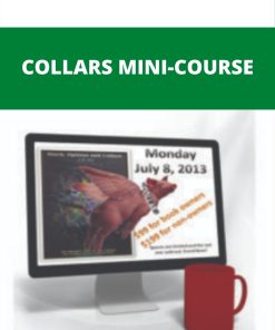 COLLARS MINI-COURSE