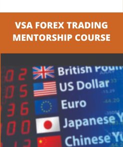 VSA FOREX TRADING MENTORSHIP COURSE