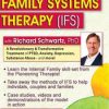 Internal Family Systems Therapy (IFS): A Revolutionary & Transformative Treatment of PTSD, Anxiety, Depression, Substance Abuse – and More! – Richard C. Schwartz | Available Now !