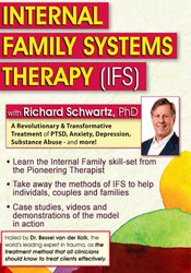 Internal Family Systems Therapy (IFS): A Revolutionary & Transformative Treatment of PTSD, Anxiety, Depression, Substance Abuse – and More! – Richard C. Schwartz | Available Now !