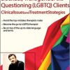 Lesbian, Gay, Bisexual, Transgender and Questioning (LGBTQ) Clients: Clinical Issues and Treatment Strategies – Joe Kort | Available Now !