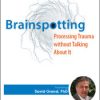 Psychotherapy Networker Symposium: Brainspotting: Processing Trauma without Talking About It – David Grand | Available Now !