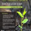 Post Traumatic Growth: From Devastation to Hope – Lisa Ferentz | Available Now !