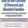 Kids in the Crossfire of Divorced and Blended Families: Interventions for Anxious, Depressed and Oppositional Children – Steve O’Brien | Available Now !