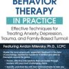 Cognitive Behavioral Therapy in Practice: Effective Techniques for Treating Anxiety, Depression, Trauma, and Family-Based Turmoil – Avidan Milevsky | Available Now !