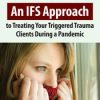 Coronavirus: An IFS Approach to Treating Your Triggered Trauma Clients During a Pandemic – Frank Anderson | Available Now !