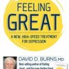 Feeling Great: A New High-Speed Treatment for Depression – David Burns | Available Now !