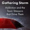 The Gathering Storm: Addiction and the Toxic Stressors that Drive Them – Patrick Carnes | Available Now !