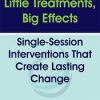 Little Treatments, Big Effects: Single-Session Interventions That Create Lasting Change – Jessica Schleider | Available Now !