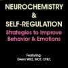 Neurochemistry & Self-Regulation: Strategies to Improve Behavior & Emotions – Gwen Wild | Available Now !