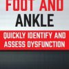 Foot and Ankle: Quickly Identify and Assess Dysfunction – Courtney Conley | Available Now !