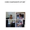 Core Components of DBT | Available Now !