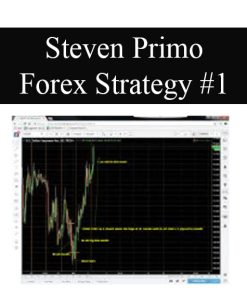 STEVEN PRIMO – FOREX STRATEGY #1 | Available Now !