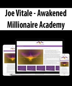 Joe Vitale – Awakened Millionaire Academy | Available Now !