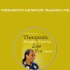 David Gordon – Therapeutic Metaphor Training LIVE | Available Now !