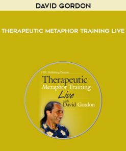 David Gordon – Therapeutic Metaphor Training LIVE | Available Now !