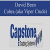 David Bean – Cobra (aka Viper Crude) | Available Now !