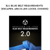 Roy Dean – BJJ Blue Belt Requirements (Escapes, Arm & Leg Locks, Chokes) | Available Now !