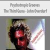 John Overdurf – Psychotropic Grooves: The Third Guna | Available Now !