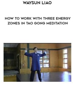 Waysun Liao – How to Work with Three Energy Zones in Tao Gong Meditation | Available Now !