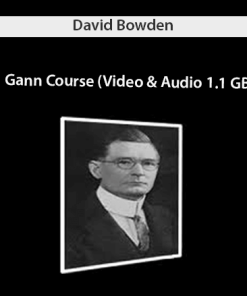 David Bowden – Gann Course (Video & Audio 1.1 GB) | Available Now !