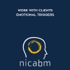 NICABM – Work with Clients Emotional Triggers | Available Now !