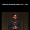 Jeff Primack – Qigong Healing Form Level 1 2 3 | Available Now !