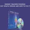 Donna Eden – Energy Tracker Figuring Out What’s Wrong and How to Fix It | Available Now !