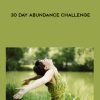 Erika Awakening – 30 Day Abundance Challenge | Available Now !