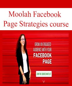 Moolah Facebook Page Strategies course | Available Now !