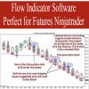 Flow Indicator Software Perfect for Futures Ninjatrader | Available Now !