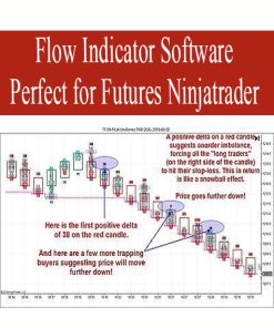 Flow Indicator Software Perfect for Futures Ninjatrader | Available Now !