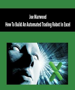 Peter Titus – How To Build An Automated Trading Robot In Excel | Available Now !