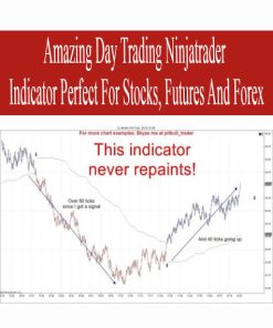 Amazing Day Trading Ninjatrader Indicator Perfect For Stocks, Futures And Forex | Available Now !