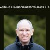 Joseph Goldstein – Abiding in Mindfulness Volumes 1 – 3 | Available Now !