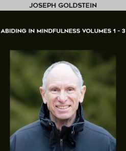 Joseph Goldstein – Abiding in Mindfulness Volumes 1 – 3 | Available Now !