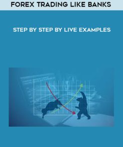 Forex Trading Like Banks – Step by Step by Live Examples | Available Now !