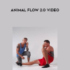 Animal Flow 2.0 Video | Available Now !