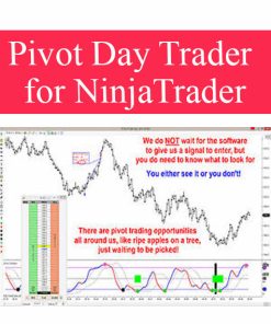 Pivot Day Trader for NinjaTrader | Available Now !